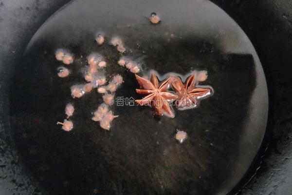 家常炖草鱼的做法图解3