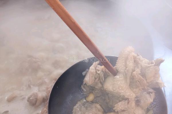小鸡炖蘑菇的做法图解11