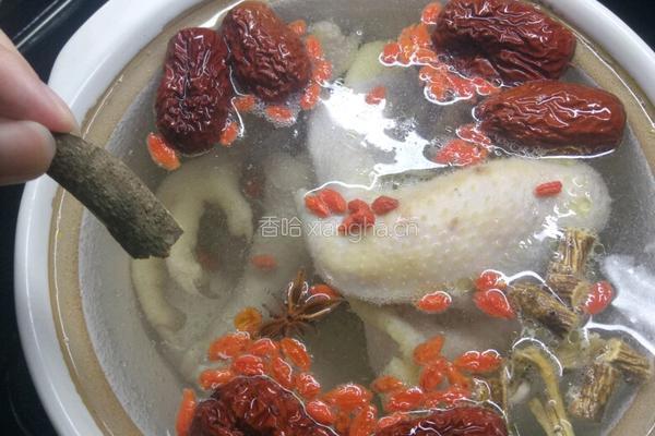 药膳鸡汤的做法图解7