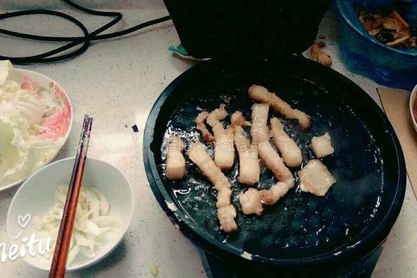 猪肉炖粉条的做法图解3