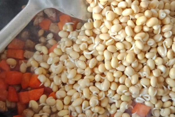 炒黄豆芽的做法图解3