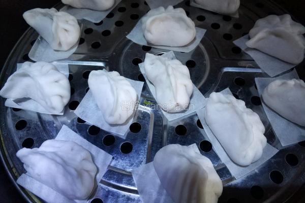 水晶虾饺的做法图解13