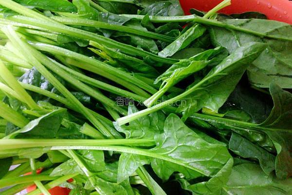 清炒菠菜的做法图解1