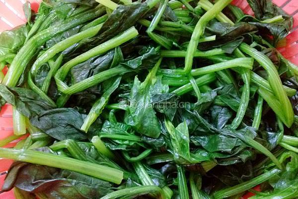 清炒菠菜的做法图解5