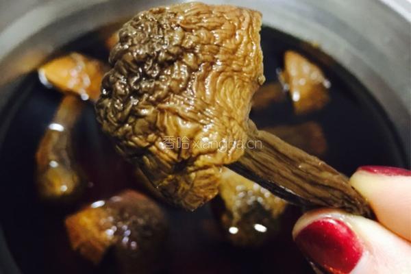松茸菌瑶柱菜干猪骨汤的做法图解2