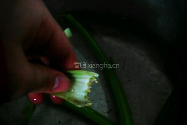 炒肉丝的做法图解12
