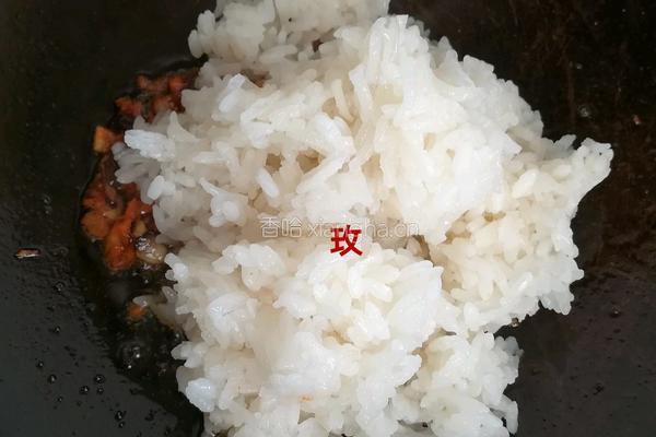 土耳其鱿鱼筒酿饭的做法图解6