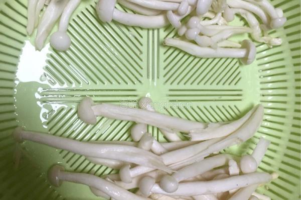 双菇豆腐火腿汤的做法图解5