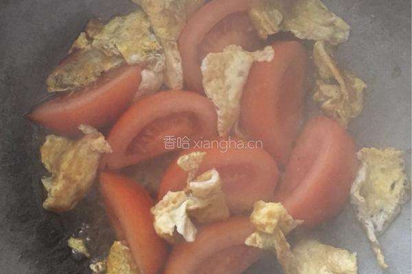 番茄炒鸡蛋的做法图解5