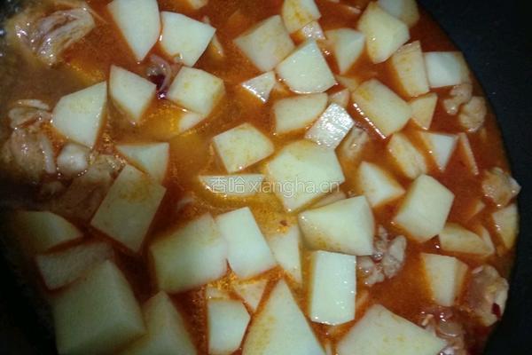 香辣土豆鸡块的做法图解4
