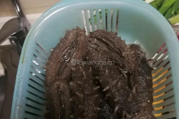 肉末海参的做法图解1
