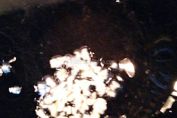 蚝油西生菜的做法图解5