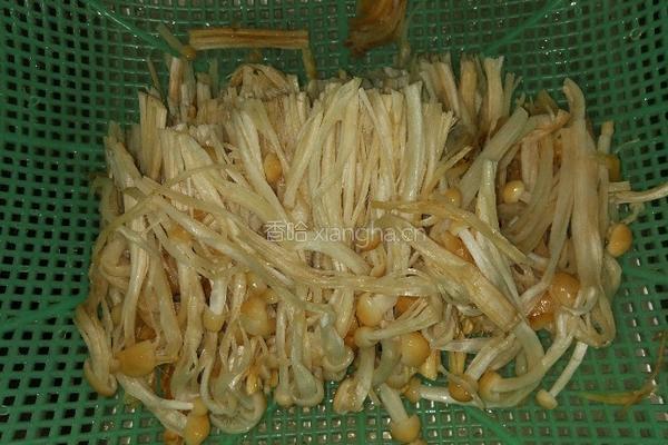 凉拌金针菇的做法图解1