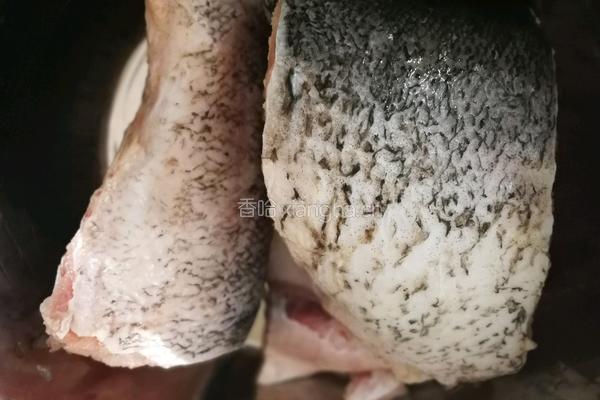 红烧胖头鱼的做法图解1