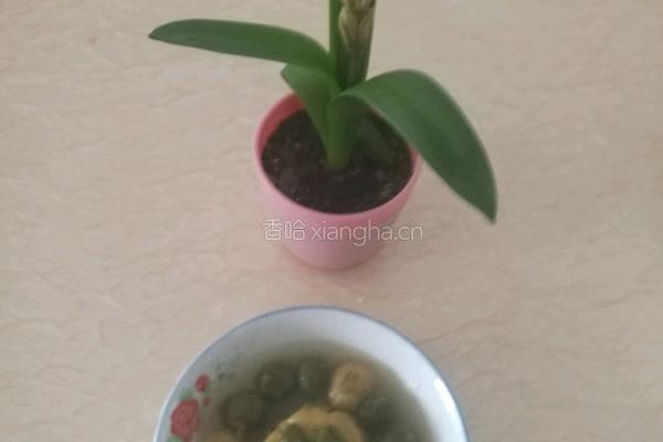 红薯和抹菜汤园的做法图解9