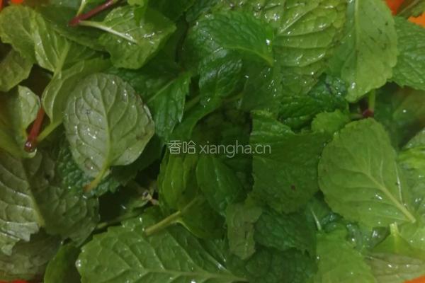 薄荷丸子全家福的做法图解1