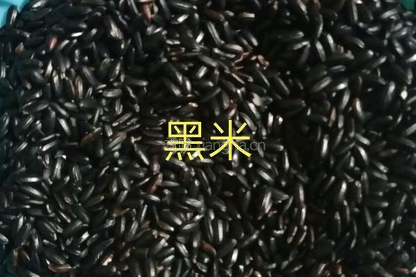 营养粥早餐的做法图解2