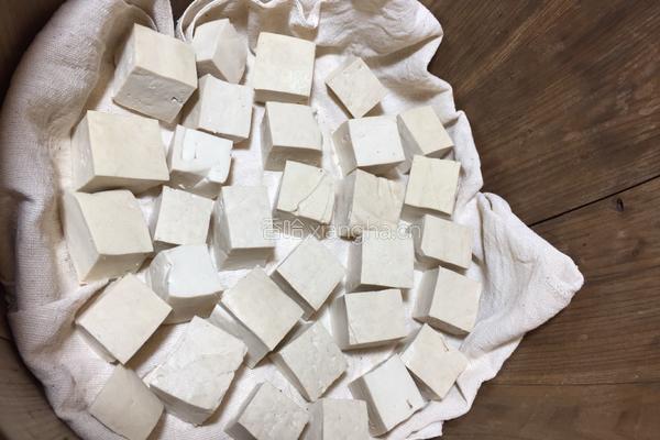 自制豆腐乳的做法图解4