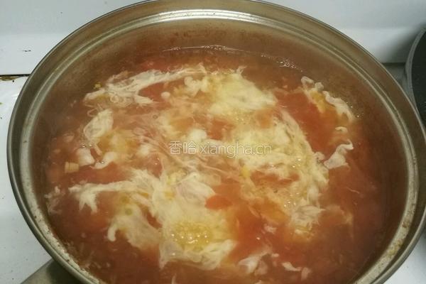 tomato eggs soup 番茄鸡蛋汤的做法图解3
