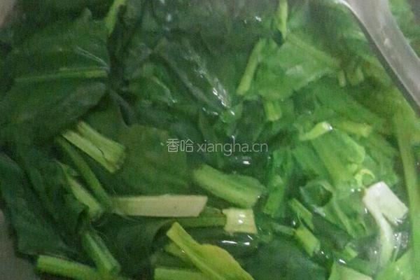 菠菜炖豆腐粉条的做法图解4
