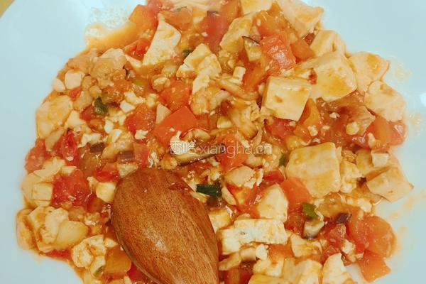 番茄炖豆腐的做法图解8