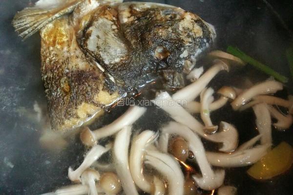 蘑菇花鲢鱼头汤的做法图解6