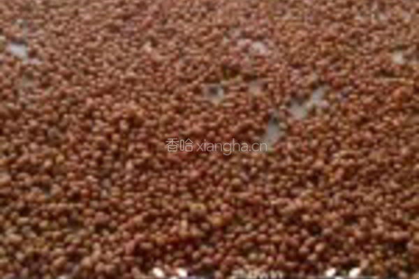 蒜香花生米（炒制）的做法图解5
