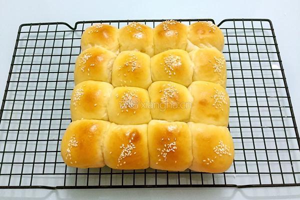 淡奶油面包的做法图解14