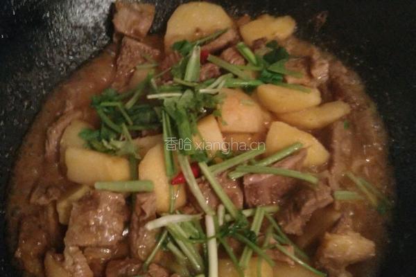 土豆焖牛腩的做法图解7