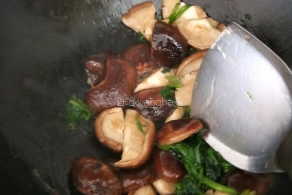 蘑菇炒菠菜的做法图解6