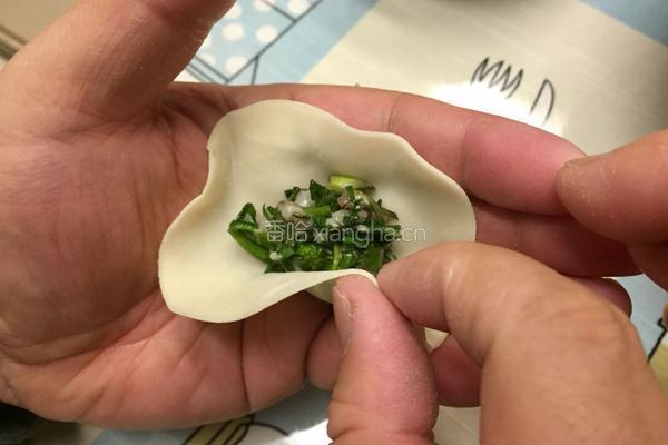 荠菜饺子的做法图解12