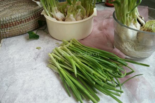 青蒜苗炒豆腐的做法图解3