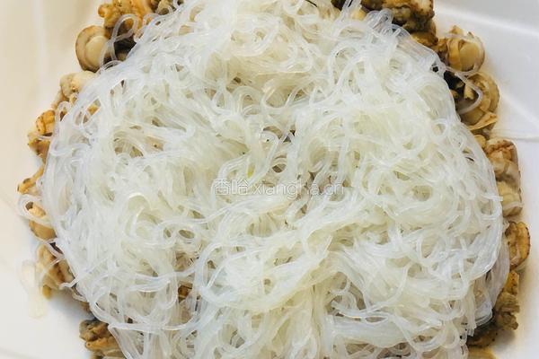 蒜蓉粉丝蒸扇贝肉的做法图解5