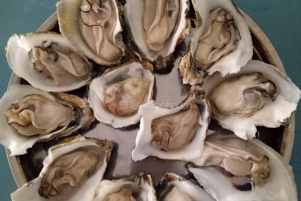 蒜蓉生蚝的做法图解1