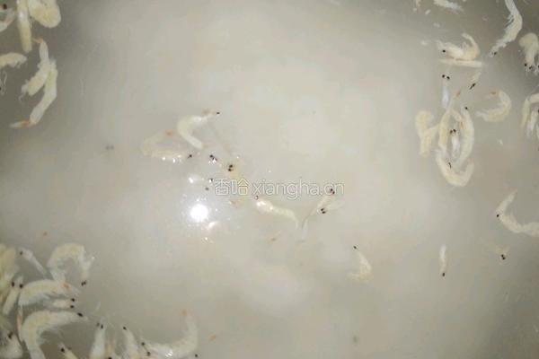 虾皮莲子粥的做法图解9