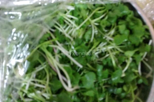 果蔬大拌菜的做法图解4