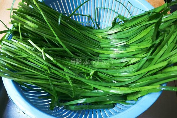 韭菜水饺的做法图解11