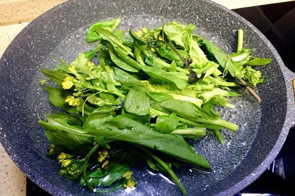 ~蚝油蒜泥田野油菜花的做法图解13