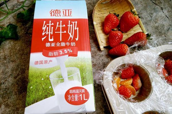 草莓奶冻的做法图解7