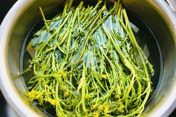 自制冲菜的做法图解3