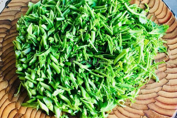 自制冲菜的做法图解4