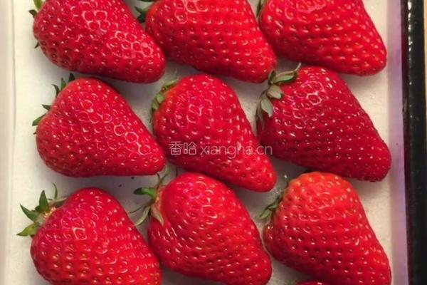 草莓冰糖的做法图解1