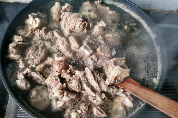胡萝卜炖羊肉的做法图解4