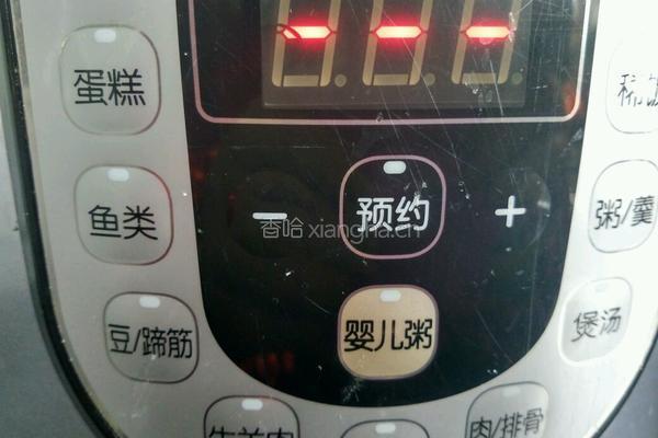 胡萝卜炖羊肉的做法图解15