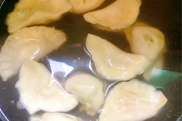茴香猪肉水饺的做法图解13