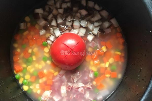 番茄懒人饭（网红饭）的做法图解3