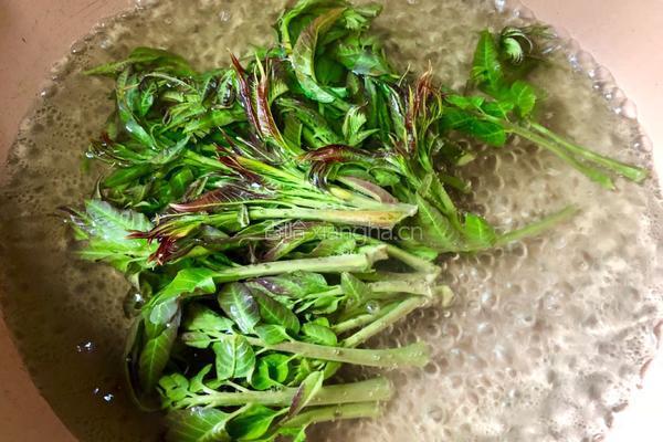 香椿芽煎鸡蛋的做法图解2