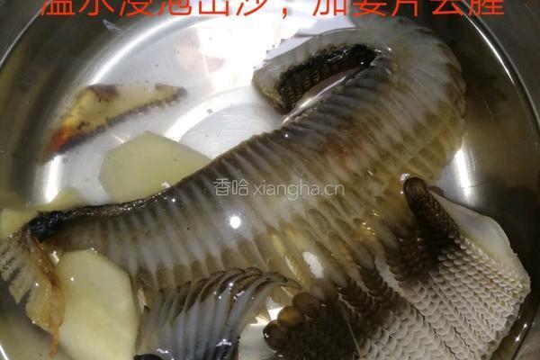 膨鱼鳃无花果炖瘦肉的做法图解1