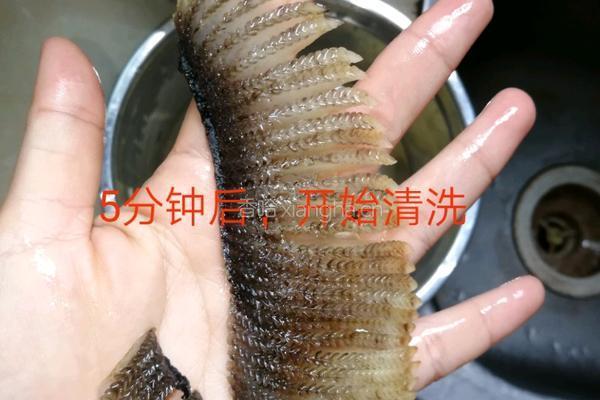 膨鱼鳃无花果炖瘦肉的做法图解2