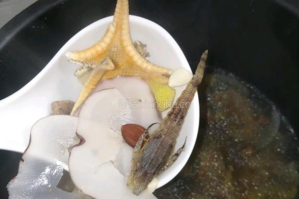 海麻雀海星海底椰炖瘦肉的做法图解4